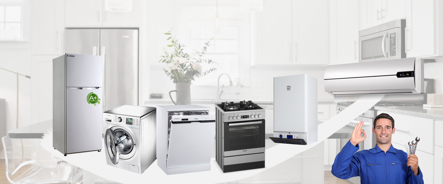 Kayseri Dominox Servisi